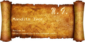 Mandits Ivor névjegykártya